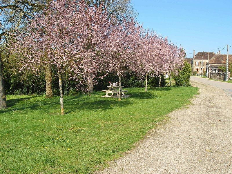chasse aux oeufs 012.jpg